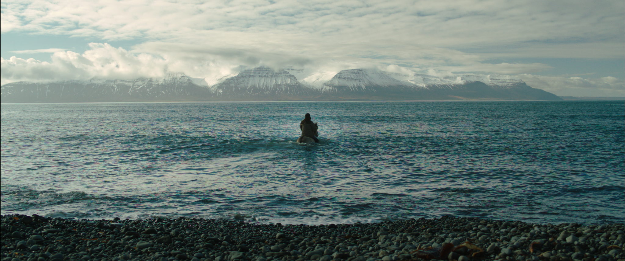Om hästar och män + kortfilm